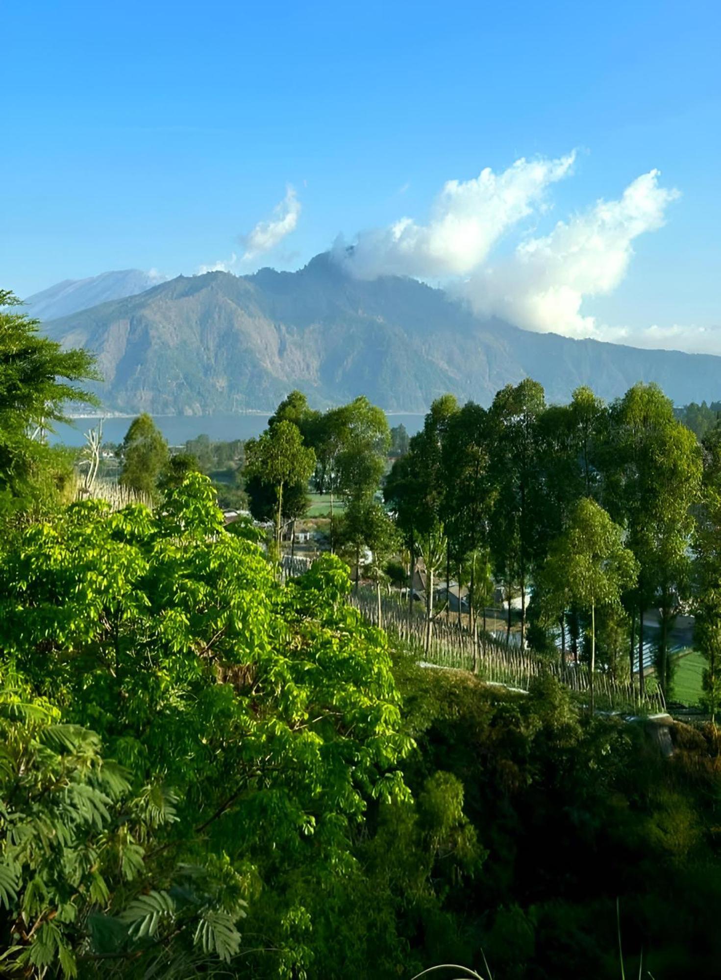 Bed and Breakfast Hillside Bali Kubupenlokan Zewnętrze zdjęcie