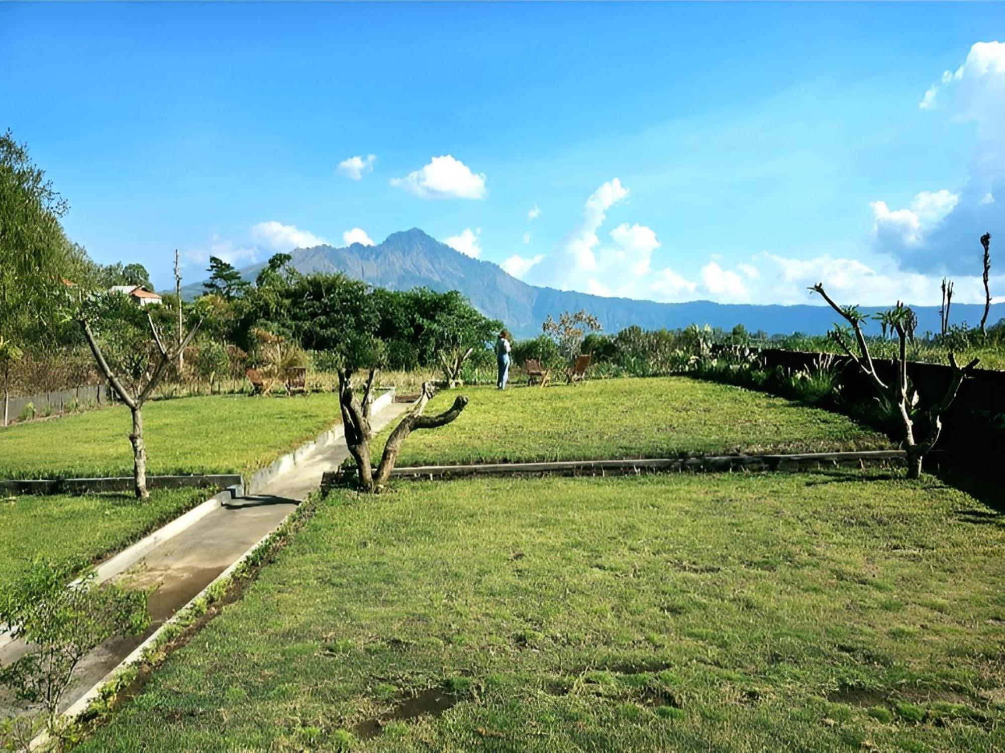 Bed and Breakfast Hillside Bali Kubupenlokan Zewnętrze zdjęcie