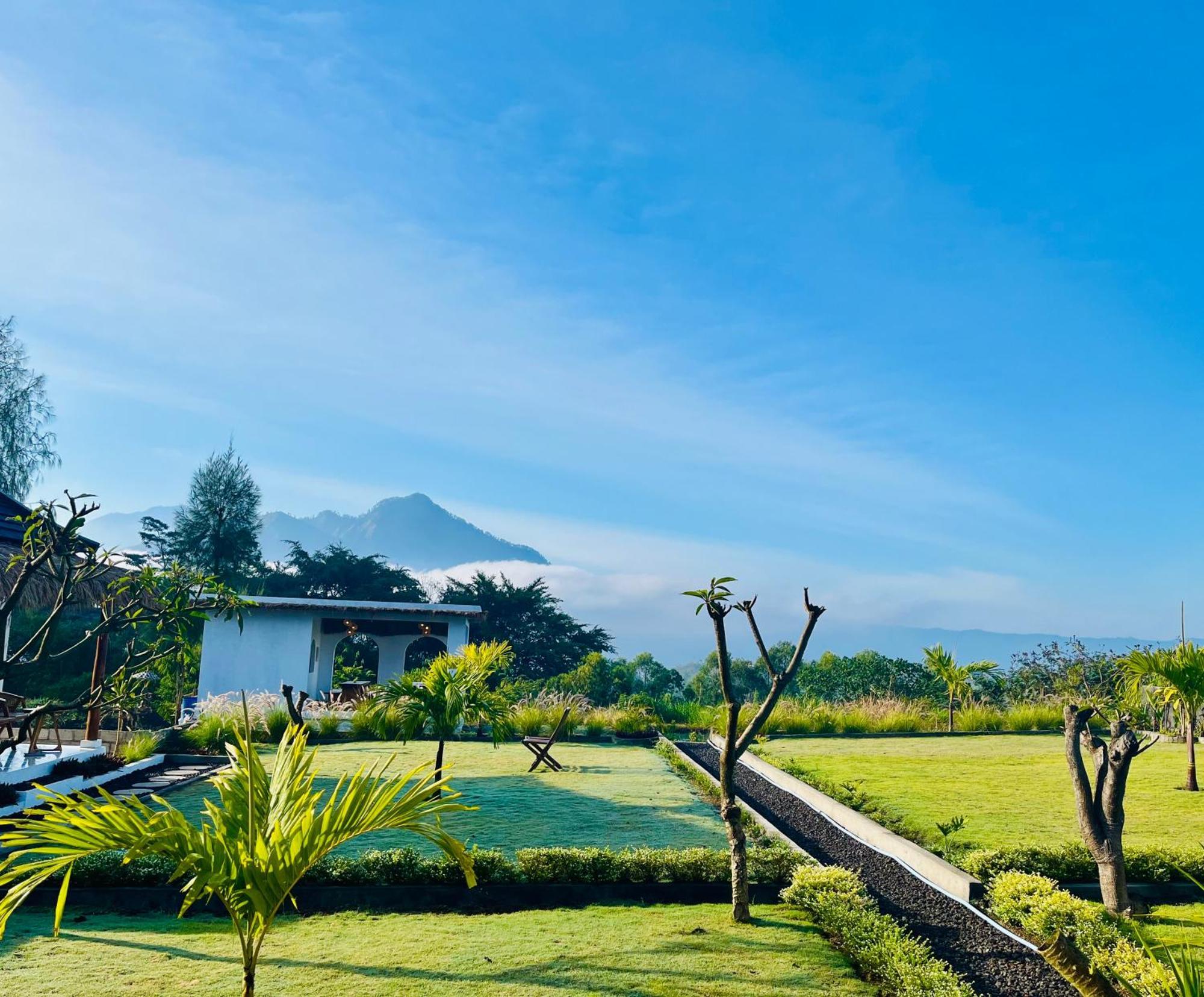 Bed and Breakfast Hillside Bali Kubupenlokan Zewnętrze zdjęcie