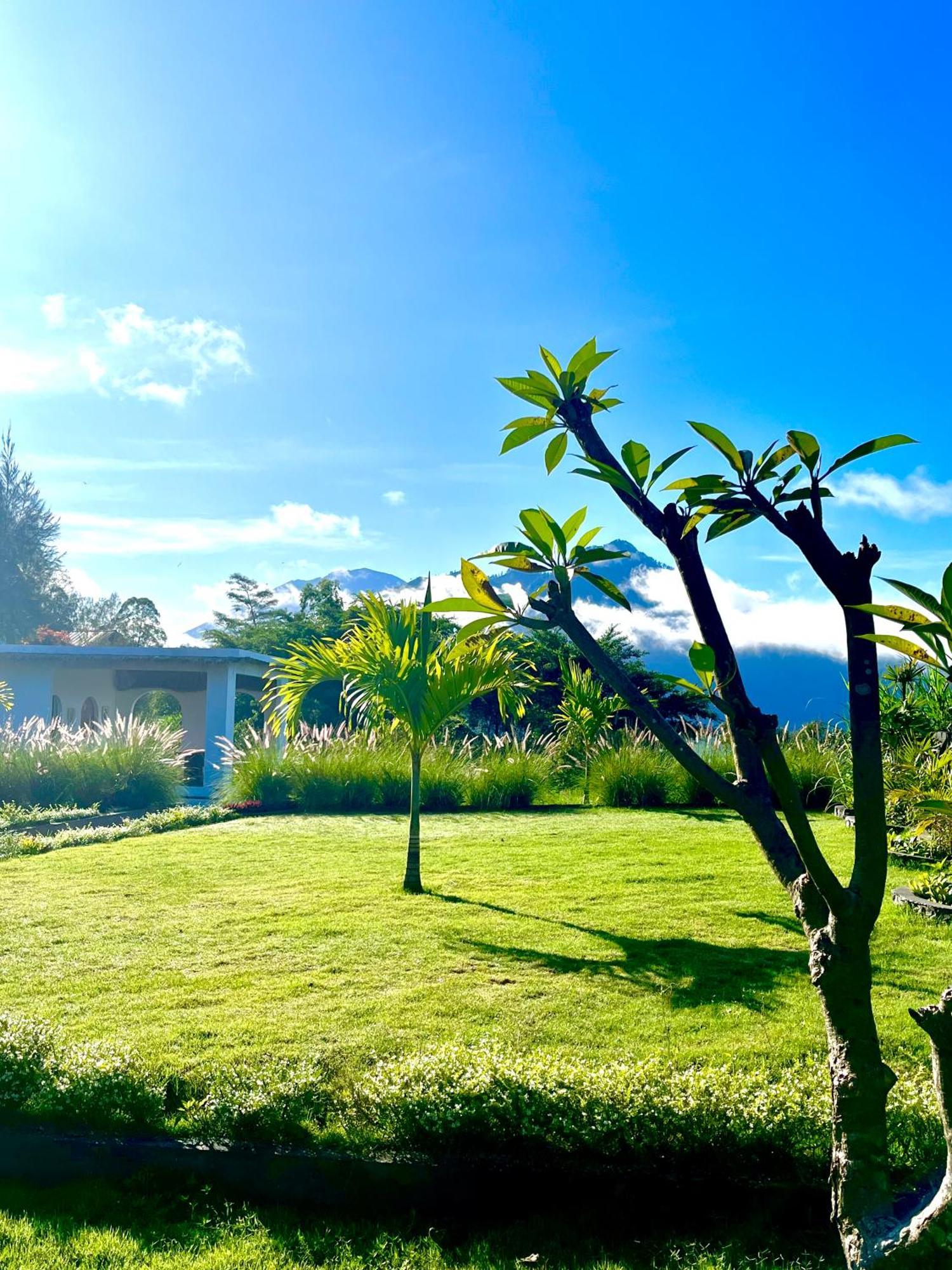 Bed and Breakfast Hillside Bali Kubupenlokan Zewnętrze zdjęcie